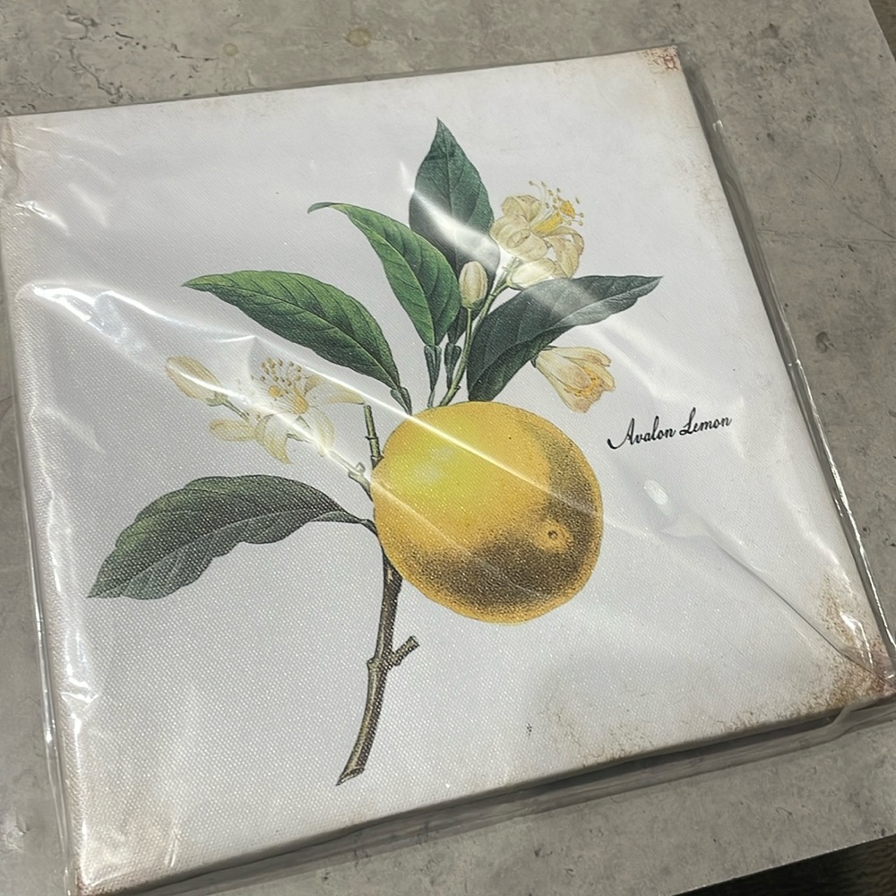 🍋 Unopened Mini Canvas with a Vintage Style Lemon Print 🍋